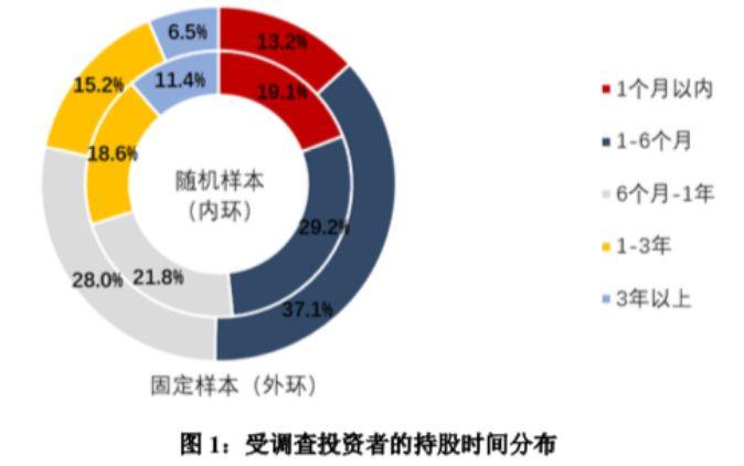 创业板ST股票最新动态及市场走势与投资机会深度解析